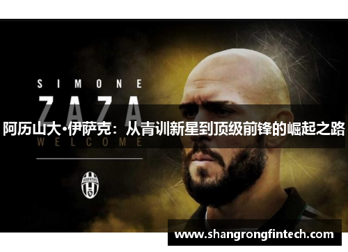 阿历山大·伊萨克:从青训新星到顶级前锋的崛起之路 阿历山大·伊萨克:从青训新星到顶级前锋的崛起之路