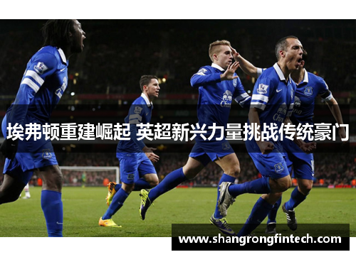 埃弗顿重建崛起 英超新兴力量挑战传统豪门